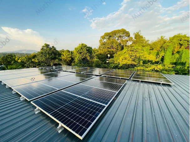 GoodWe Lynx G3 LX A5.0-30 5.12kWh 51.2V 100Ah Wall-Mounted LiFePO4 Solar Battery detail 1